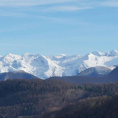 Joli Gite En Ariege Avec Vue Buzan 외부 사진